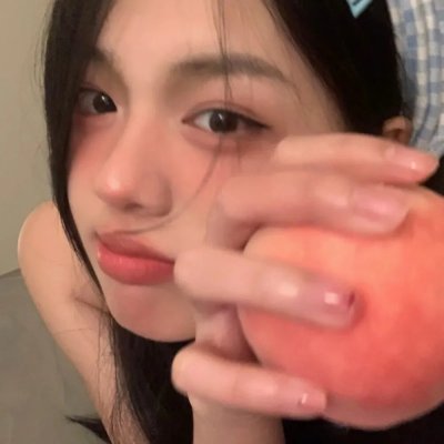 完美伴侣2025